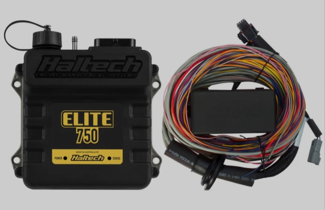Haltech 750 + Premium Universal wire in harness