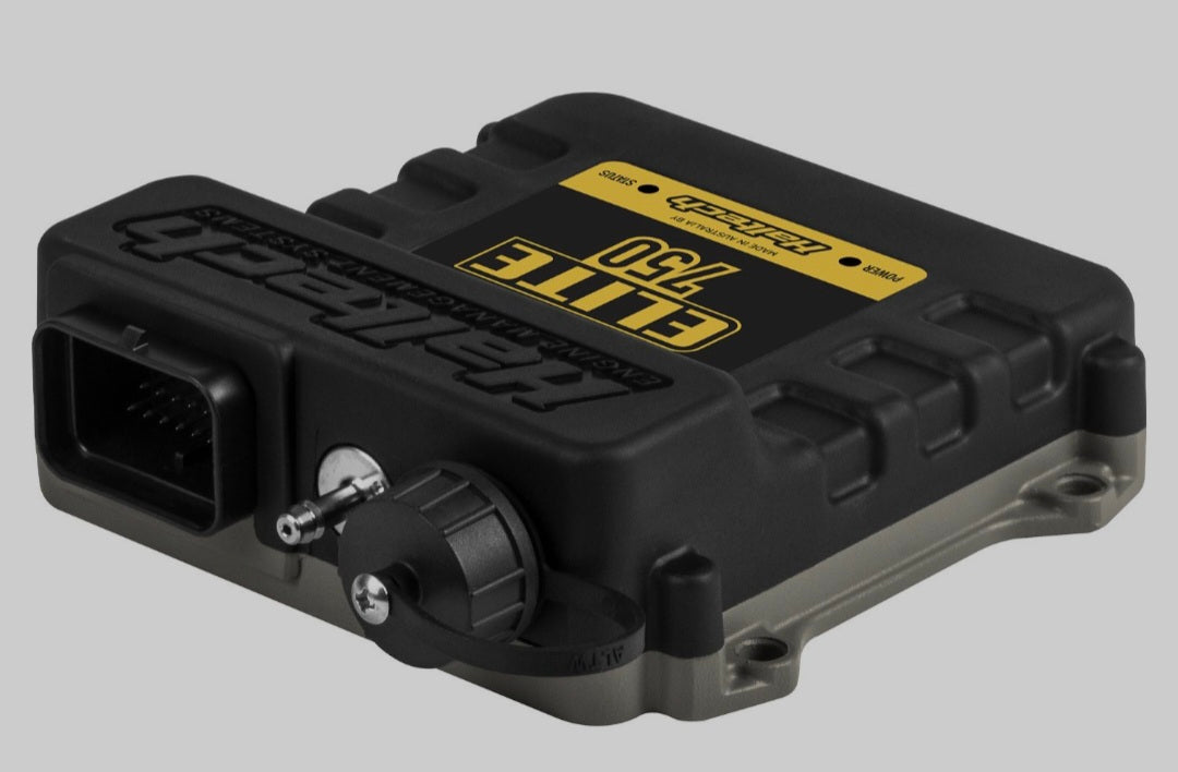 Haltech 750 ECU + Basic universal wire in harness