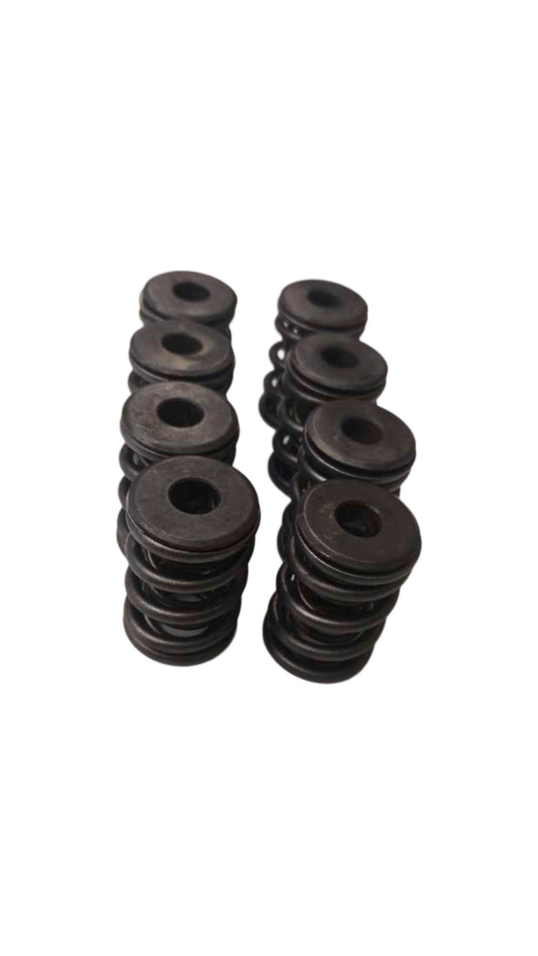 RB30 Dual Valve Spring Standard Replacement - 5840-8