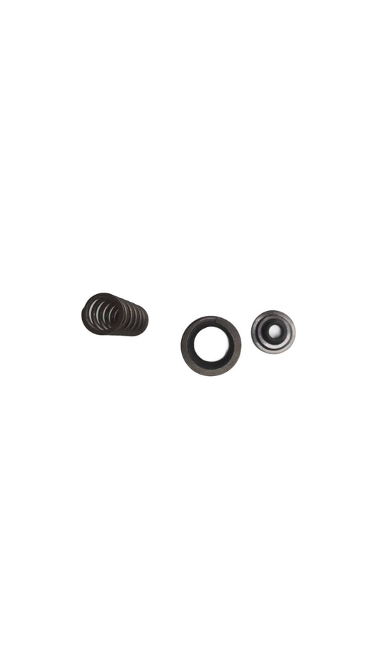 Dual Valve Springs RB30 Standard Replacement - 5840-12
